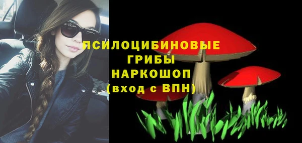 spice Алексин